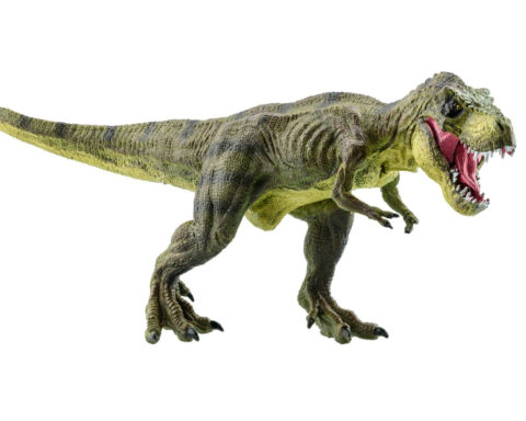 Why did ‘Tyrannosaurus rex’ have such short arms?