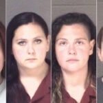 'It's sick': Animal advocates react after kennel workers charged in dog deaths