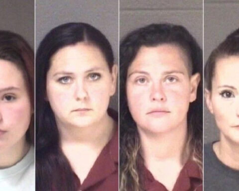 'It's sick': Animal advocates react after kennel workers charged in dog deaths