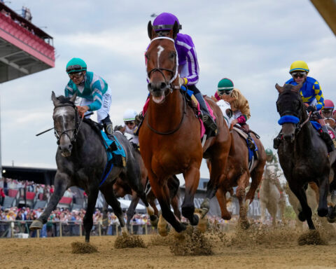 Iron Honor is a slight 9-2 favorite on the morning line for the Preakness