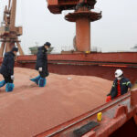 Xi-Trump summit may yield farm deal, but China has limited soybean appetite