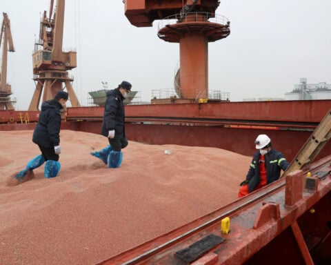 Xi-Trump summit may yield farm deal, but China has limited soybean appetite