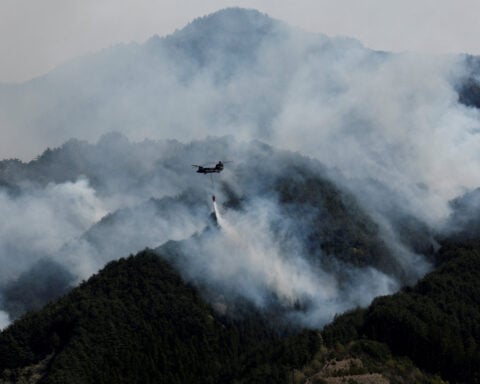 Global fire outbreaks hit record high as 'unprecedented' heat extremes loom, scientists say