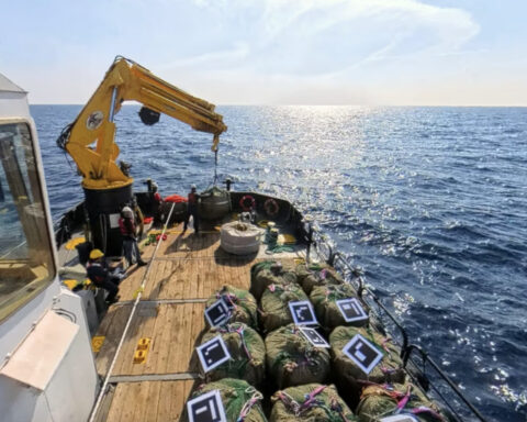 A deep-ocean climate plan wins rare EPA approval, but is sinking plants in the sea the answer?