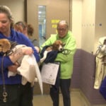20 beagles from Ridglan Farms arrive at Wisconsin Humane Society's Milwaukee campus