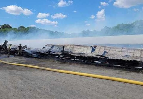 Maryland farm fire kills 35,000 chickens, officials say
