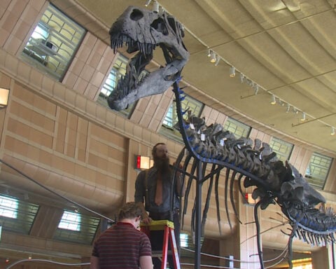 Rare dinosaur species being studied at the Cincinnati Museum Center