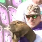 New Orleans icon Neuty the Nutria dies after cancer battle