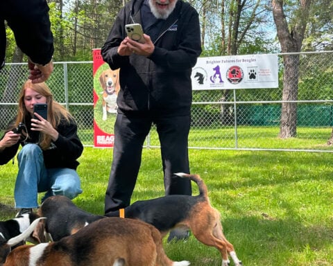 Black Sabbath bass player, Debbie Gibson praise effort to find new homes for beagles