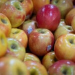 US grocery prices rose in April, but gas spikes weren't the only reason