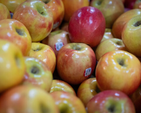 US grocery prices rose in April, but gas spikes weren't the only reason