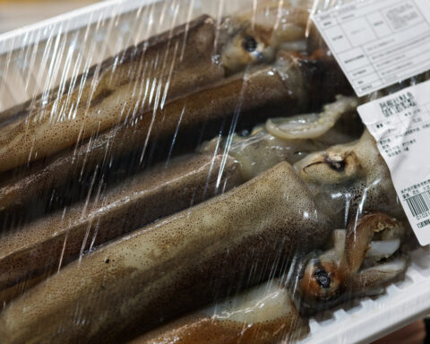 China's fishing fleet raises concerns off Argentina