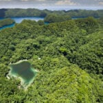 I spent years staring at the jellyfish lake on my screensaver. The reality was something else