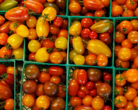 US producer prices surprise with largest increase in four years