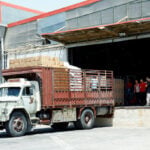 UN food agency halves Syria food aid, halts bread subsidy over funding shortages