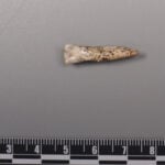 Ancient teeth hint at canoodling between early human relatives