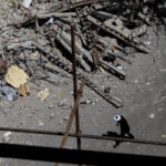 How has the Iran war affected Middle East states?