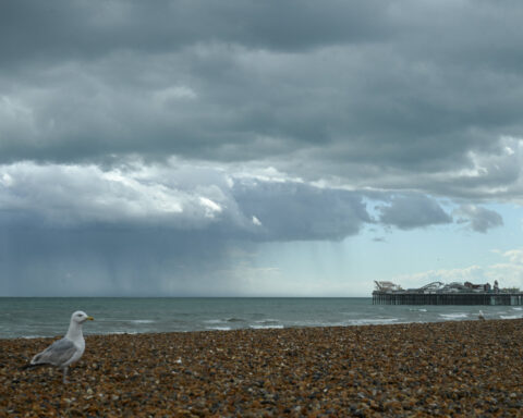 UK police pull bodies of three women from sea at Brighton