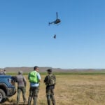 'An experimental approach': Fish and Game moves 34 elk from Big Willow Creek to the Panhandle