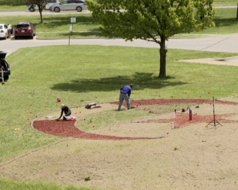 Artist rolls out the green carpet for team Algeria with giant earthwork