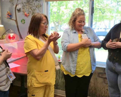 Hatchery delivers chicks to care home for therapy