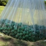 Suspected rat poison pellet discovery closes part of Santa Clara park after dog sickened
