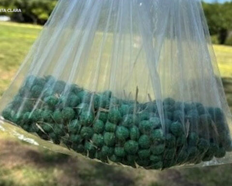 Suspected rat poison pellet discovery closes part of Santa Clara park after dog sickened