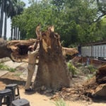 Dust storms and lightning kill at least 96 people in northern India