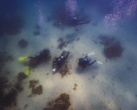 Underwater memorial to wrecked slave ship draws pilgrims seeking to connect with their roots
