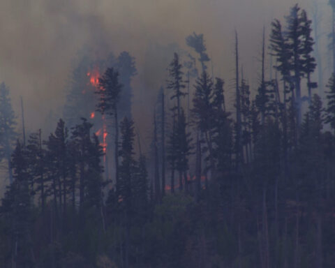Small medical plane crashes in New Mexico mountains, killing all 4 people aboard