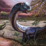 New species of giant dinosaur identified from remains found in Thailand