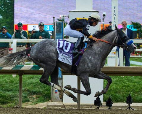 Napoleon Solo wins the Preakness Stakes in a come-from-behind victory