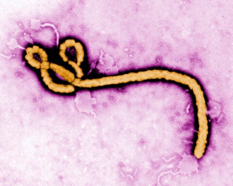 What we know about the latest Ebola outbreak after WHO declares global health emergency