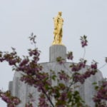 What to expect in Oregon’s primaries