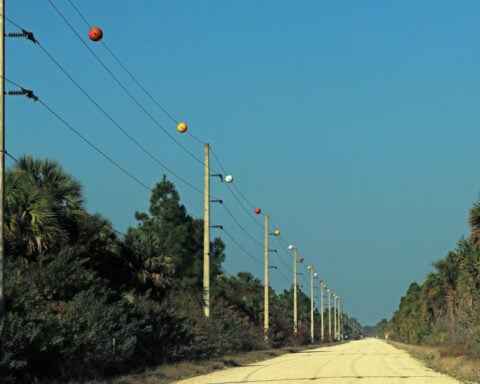 What are those orange balls on some power lines?