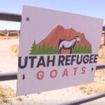 Utah State University works with refugee community to provide affordable food