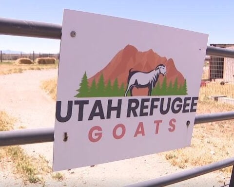 Utah State University works with refugee community to provide affordable food