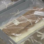Utah Museum and BLM partnership honored for work to recover 100-thousand Indigenous cultural items