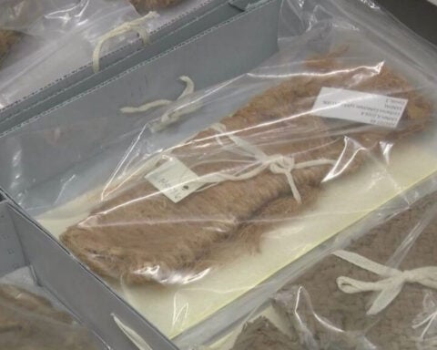 Utah Museum and BLM partnership honored for work to recover 100-thousand Indigenous cultural items