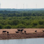 FACT FOCUS: Trump distorts recent revisions of scientific projections of global warming