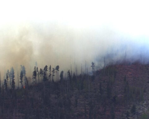 New Mexico wildfire sparked by fatal medical plane crash spreads quickly in rural area