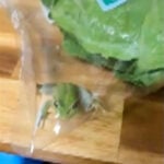 Lettuce introduce you to the live frog found in this grocery store salad bag