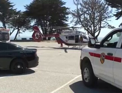 Driver dies after car plunges more than 400 feet off cliff