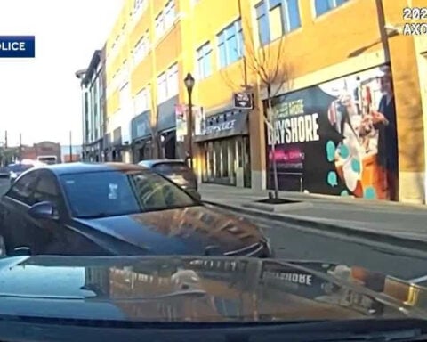 VIDEO: Driver leads police on cross-county chase, through narrow Bayshore Mall streets