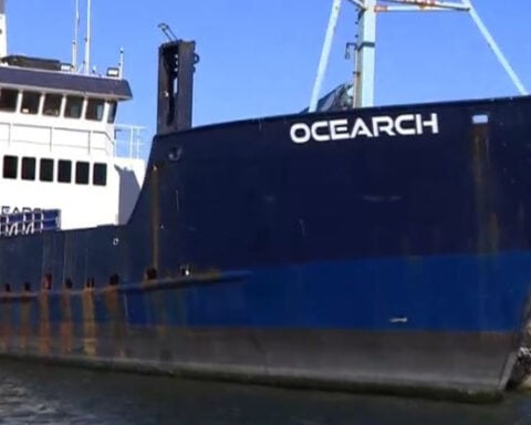 Sharks used as ocean sensors to aid hurricane research