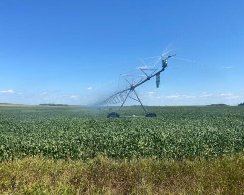 China again flags tariff cuts for US agricultural trade after Trump-Xi meeting, but still no details