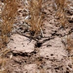 'Am I out?' Drought and rising costs from Iran war deepen pain for US farmers