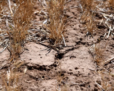 'Am I out?' Drought and rising costs from Iran war deepen pain for US farmers