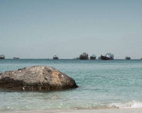 Hormuz closure could trigger 'agrifood shock', price crisis within a year, FAO warns