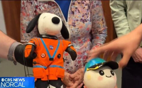 "Rise" plushie becomes part of space history at Charles M. Schulz museum